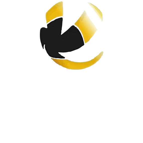 https://volley4all.com/wp-content/uploads/2020/10/conquistas10.png