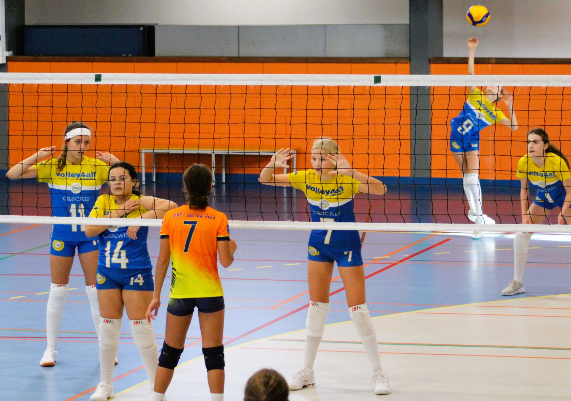 Lobatos 3 I V4A 2 Cascais volley4all