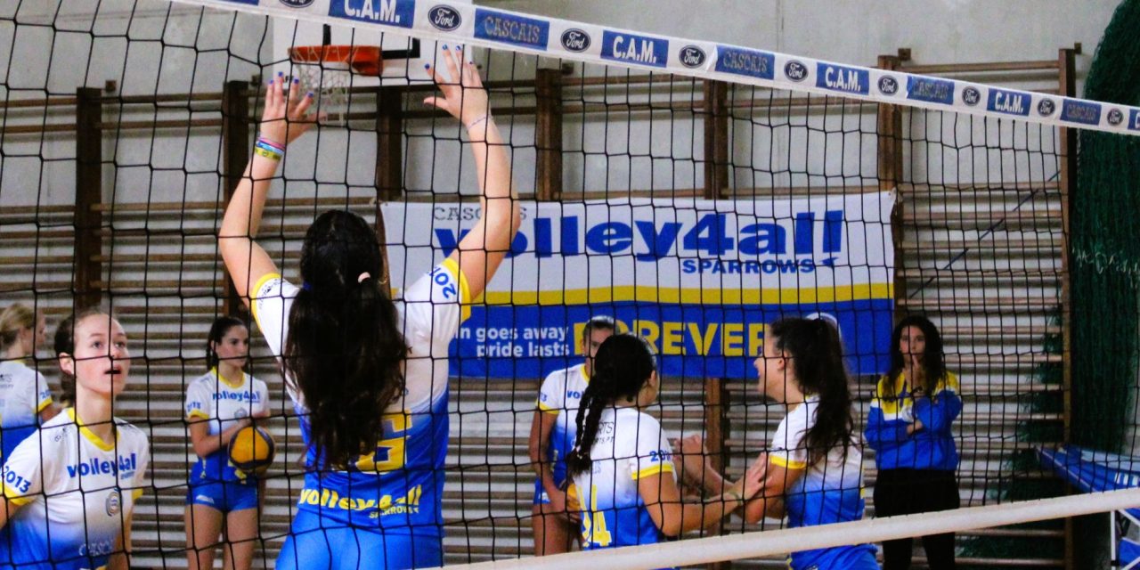 https://volley4all.com/wp-content/uploads/2023/10/IMG_0044-1280x640.jpg